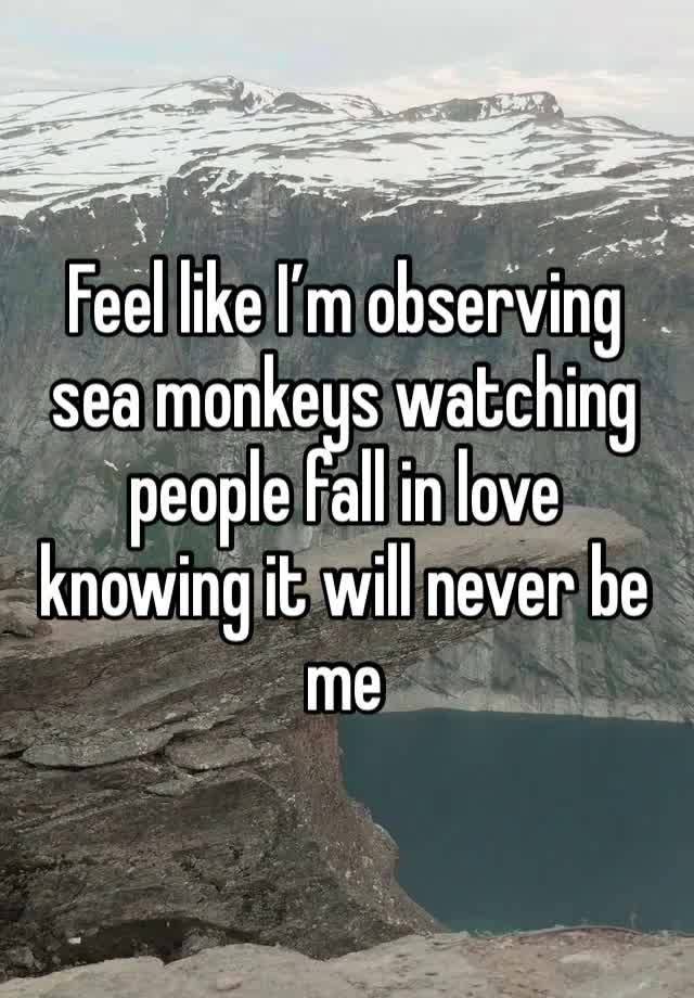 Feel like I’m observing sea monkeys watching people fall in love knowing it will never be me