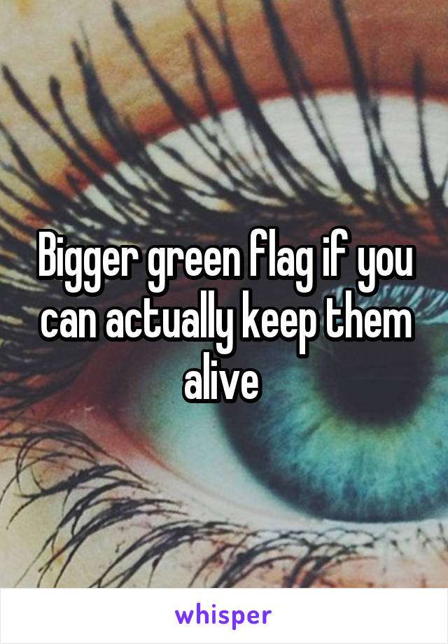 Bigger green flag if you can actually keep them alive 