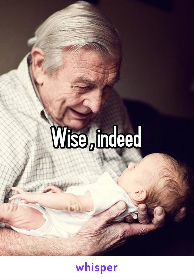 Wise , indeed 