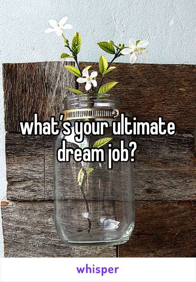 what’s your ultimate dream job?