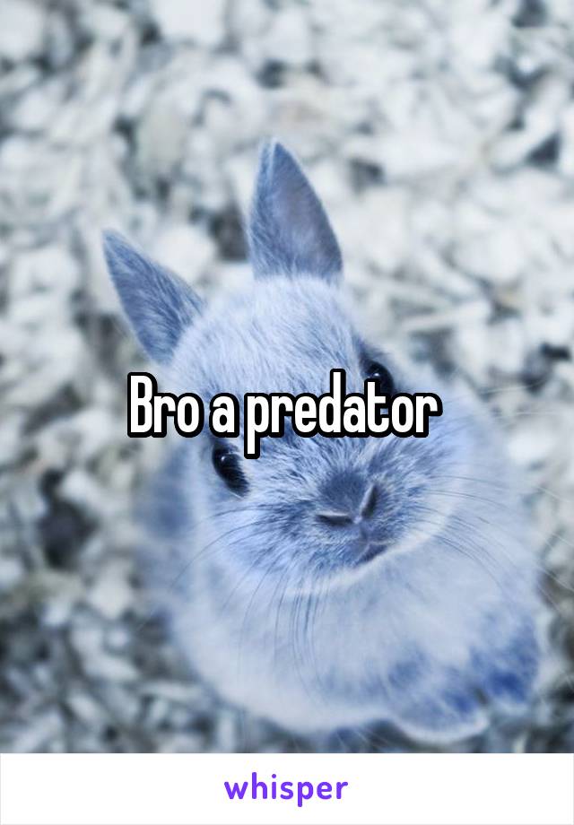 Bro a predator 