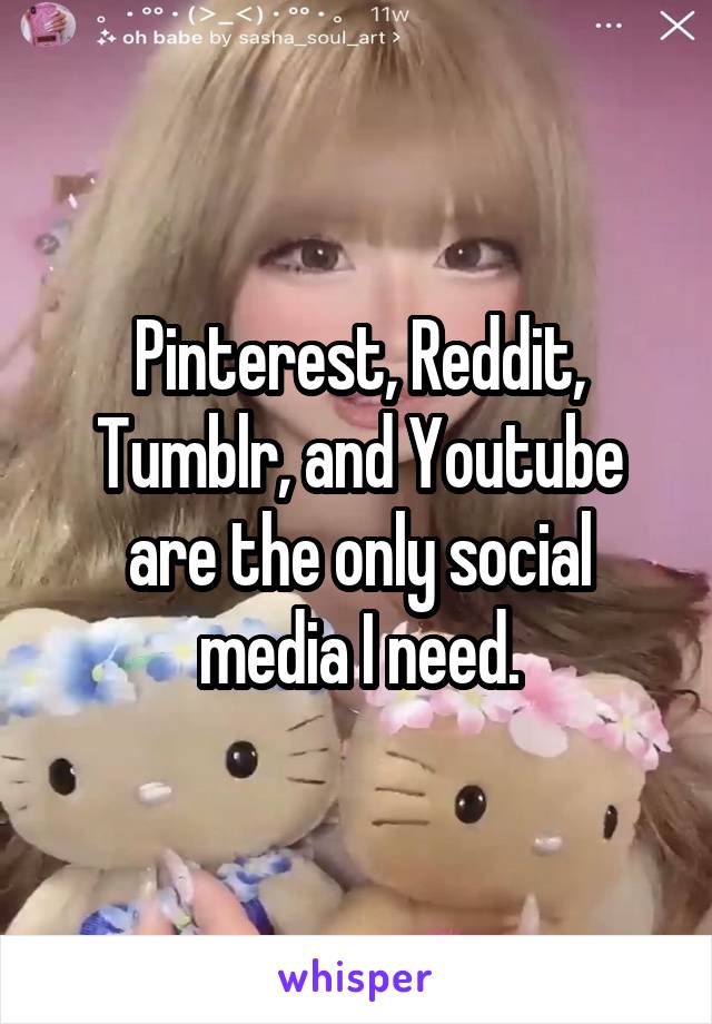 Pinterest, Reddit, Tumblr, and Youtube are the only social media I need.