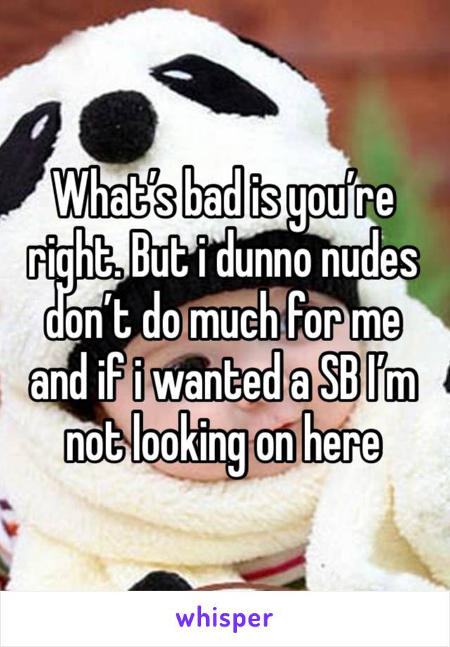 What’s bad is you’re right. But i dunno nudes don’t do much for me and if i wanted a SB I’m not looking on here 