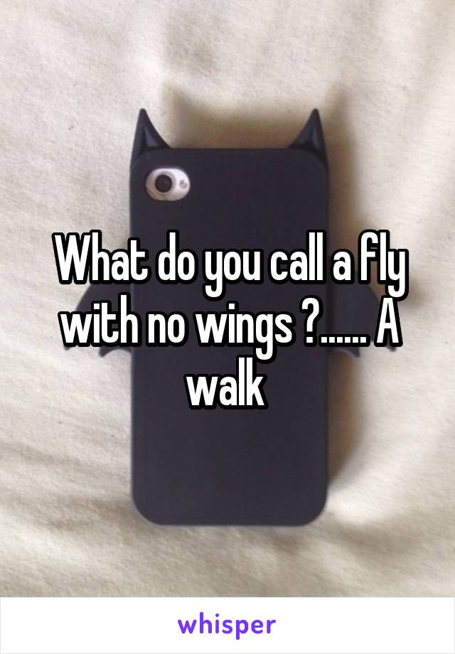 What do you call a fly with no wings ?...... A walk 