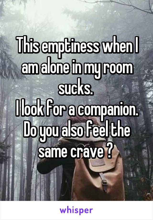 This emptiness when I am alone in my room sucks. 
I look for a companion.
Do you also feel the same crave ? 
