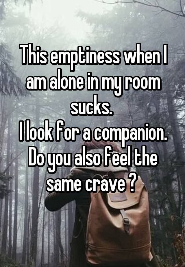 This emptiness when I am alone in my room sucks. 
I look for a companion.
Do you also feel the same crave ? 
