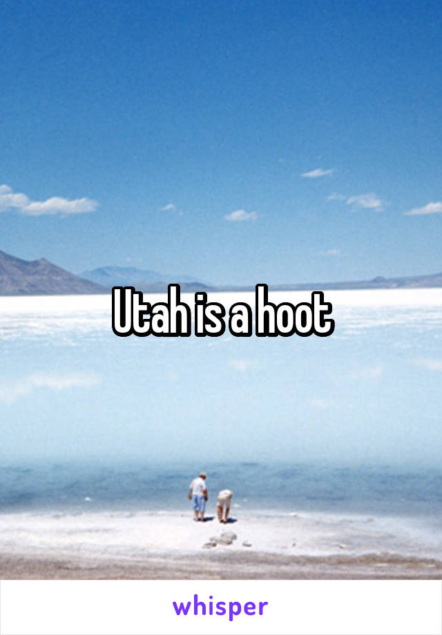 Utah is a hoot