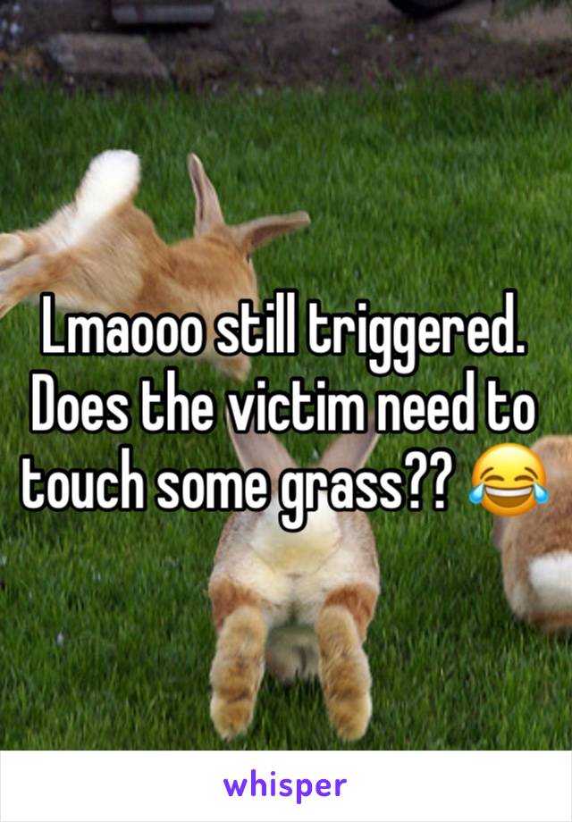 Lmaooo still triggered. Does the victim need to touch some grass?? 😂