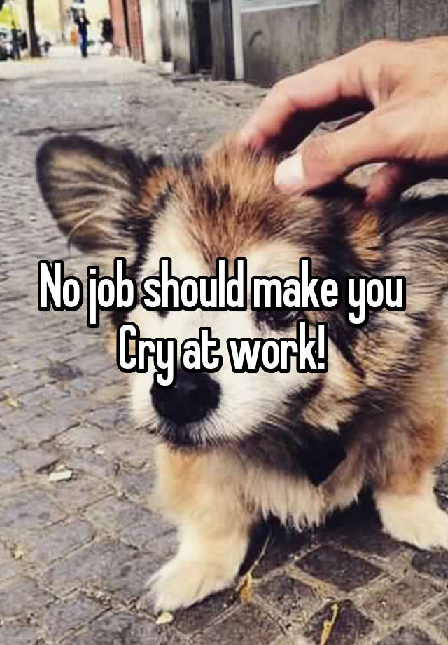 No job should make you 
Cry at work! 