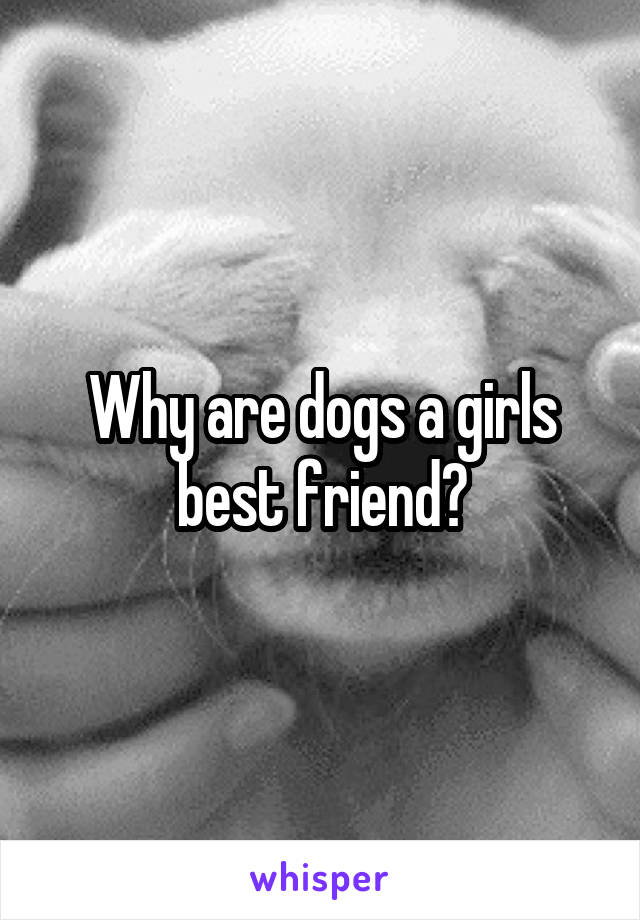 Why are dogs a girls best friend?