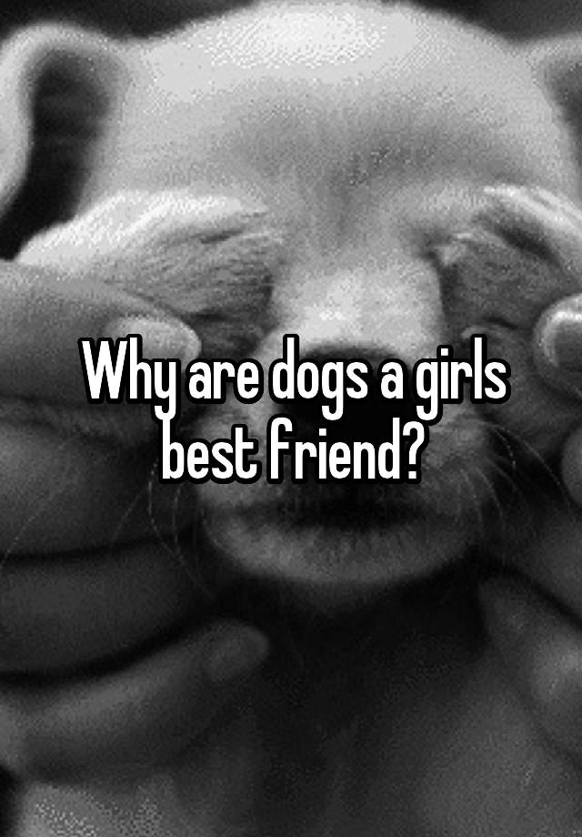 Why are dogs a girls best friend?