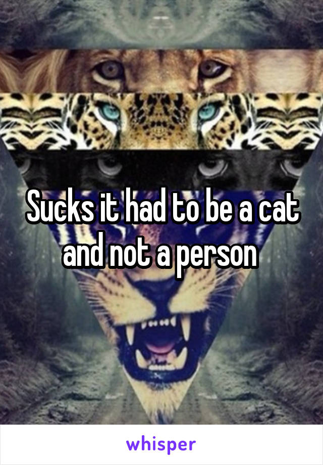 Sucks it had to be a cat and not a person 