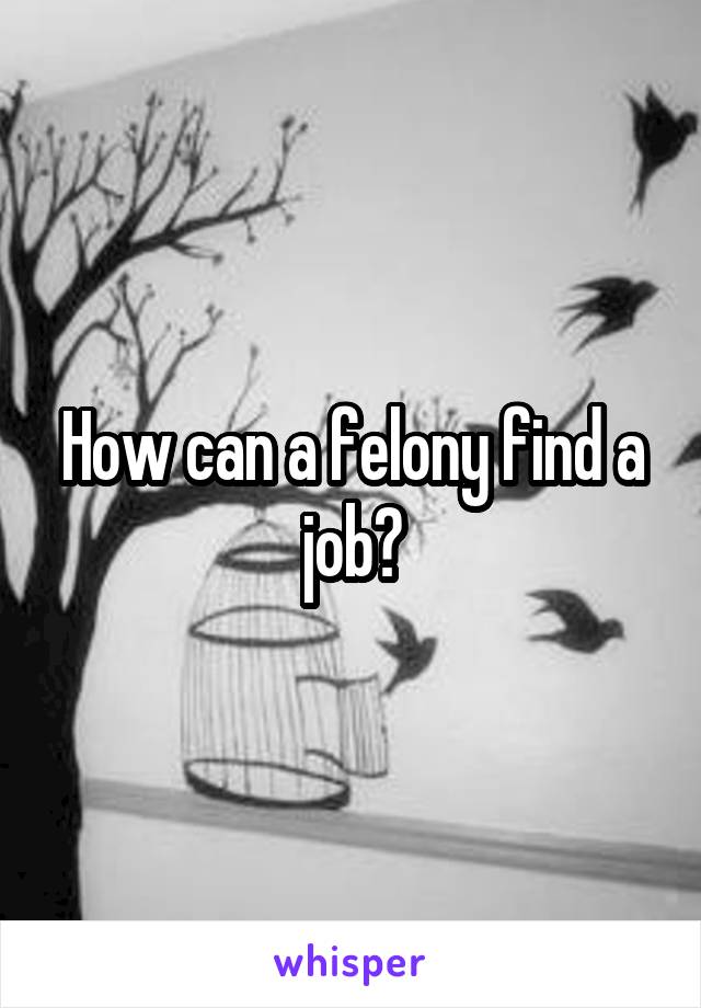 How can a felony find a job?