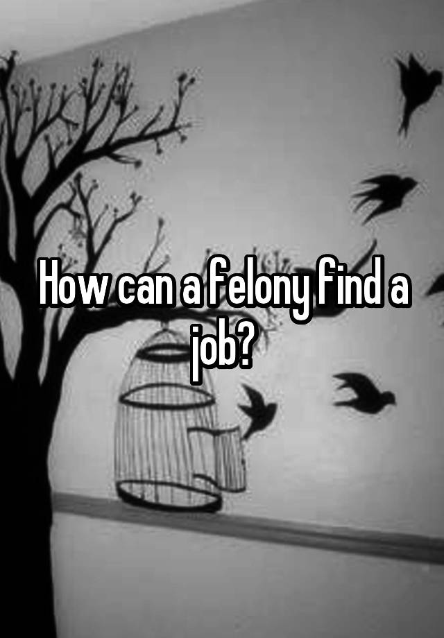 How can a felony find a job?