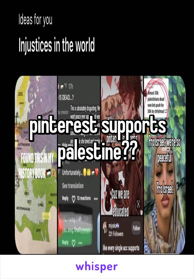 pinterest supports palestine??