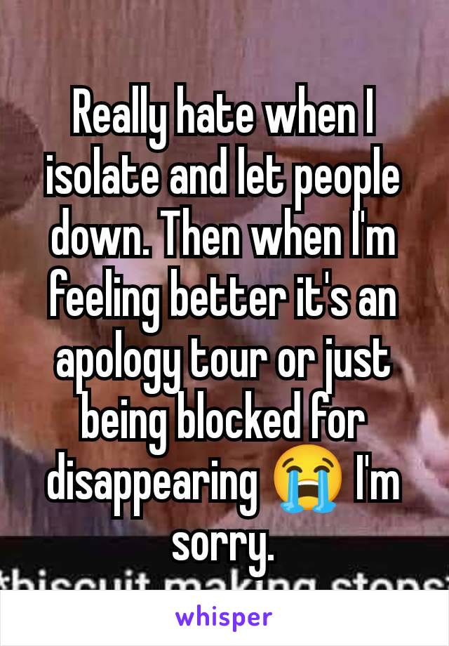 Really hate when I isolate and let people down. Then when I'm feeling better it's an apology tour or just being blocked for disappearing 😭 I'm sorry.