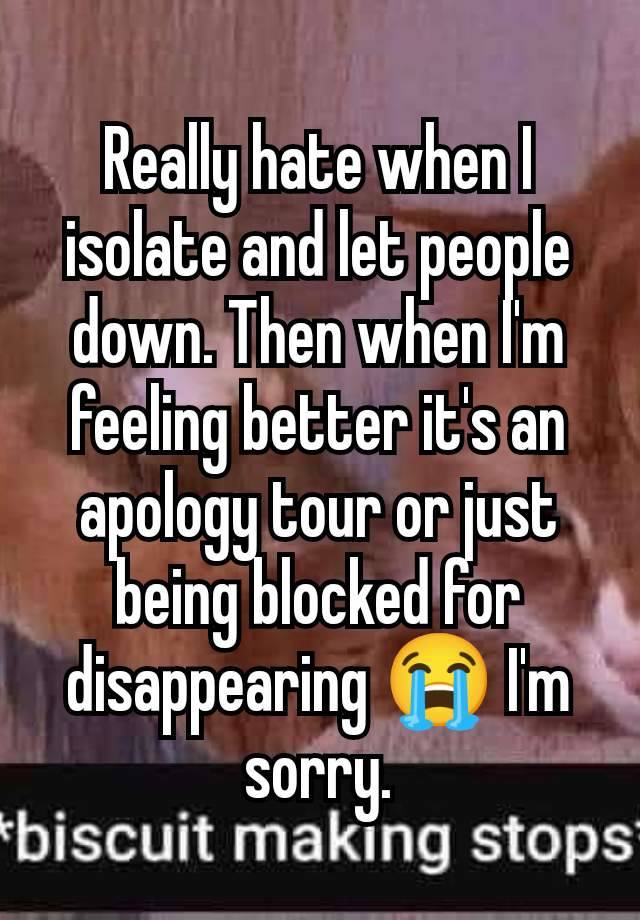 Really hate when I isolate and let people down. Then when I'm feeling better it's an apology tour or just being blocked for disappearing 😭 I'm sorry.