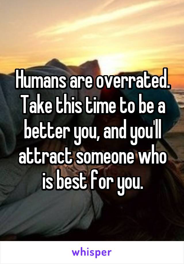 Humans are overrated.
Take this time to be a better you, and you'll attract someone who is best for you.