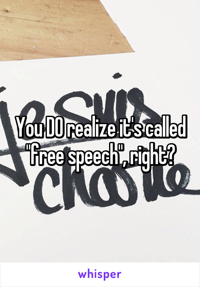 You DO realize it's called "free speech", right?