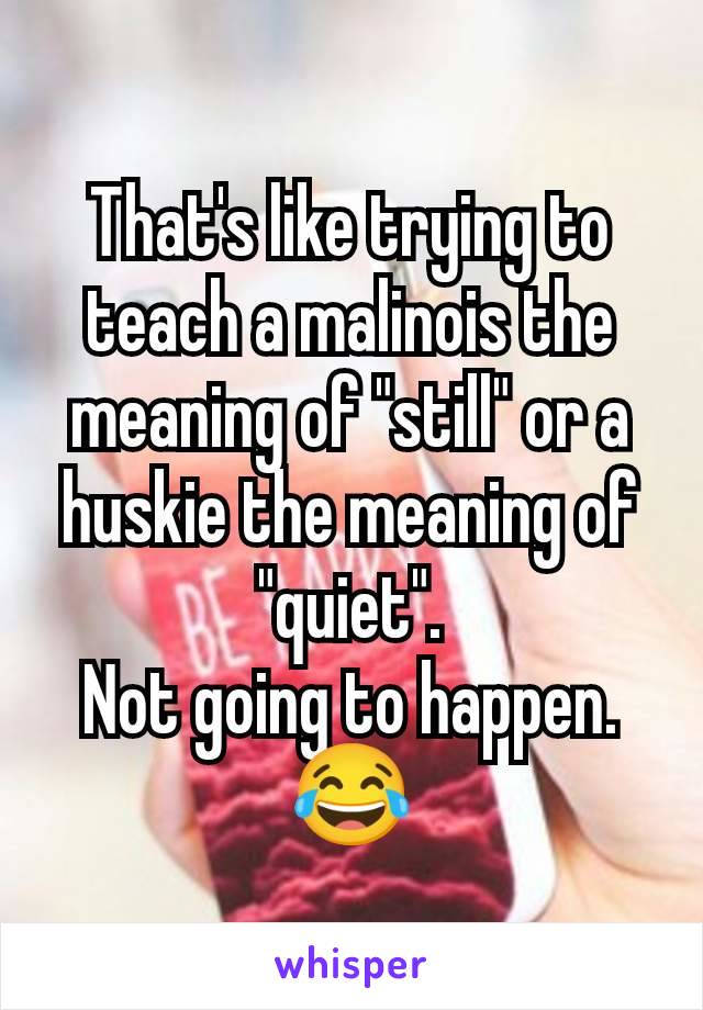 That's like trying to teach a malinois the meaning of "still" or a huskie the meaning of "quiet".
Not going to happen. 😂