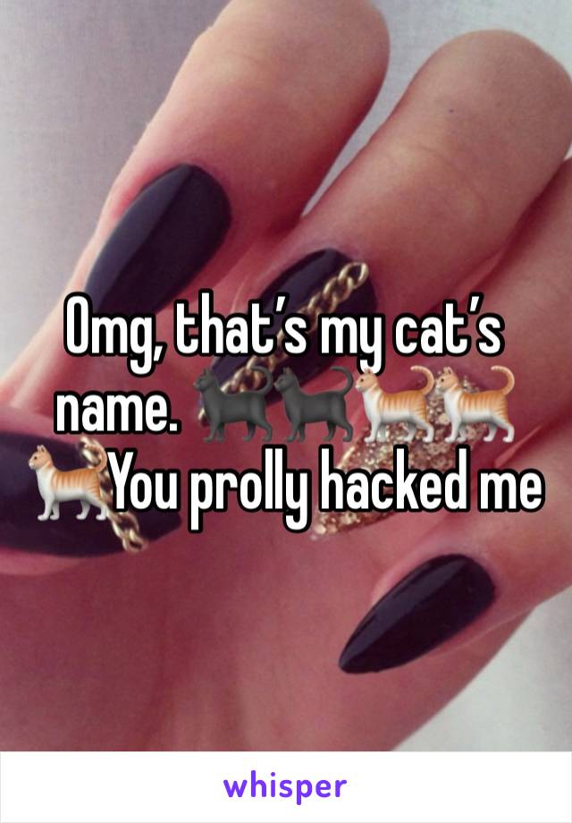 Omg, that’s my cat’s name. 🐈‍⬛🐈‍⬛🐈🐈🐈You prolly hacked me