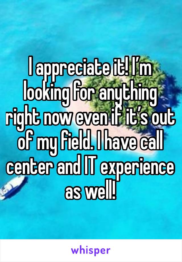 I appreciate it! I’m looking for anything right now even if it’s out of my field. I have call center and IT experience as well!