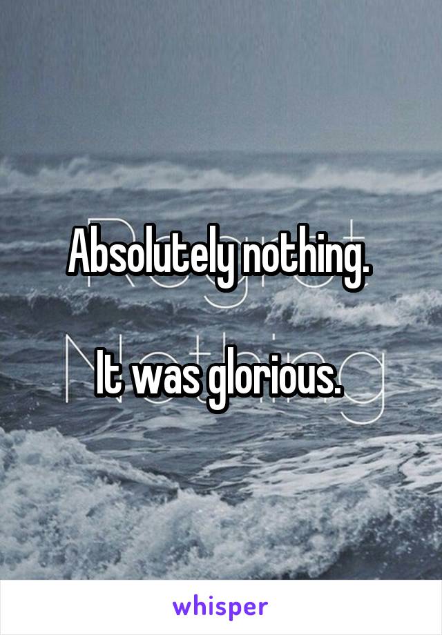 Absolutely nothing. 

It was glorious. 