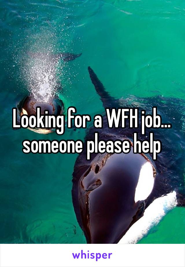 Looking for a WFH job… someone please help