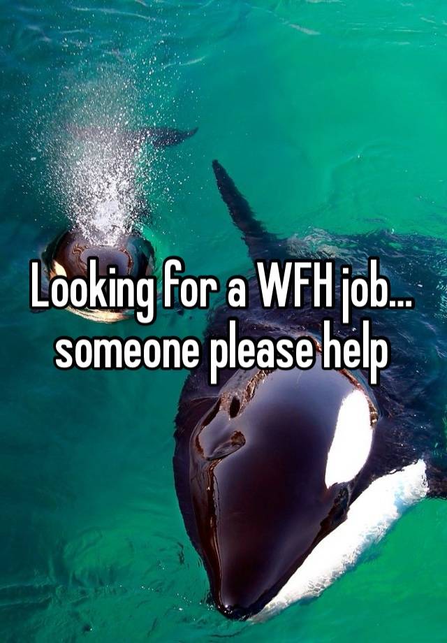 Looking for a WFH job… someone please help