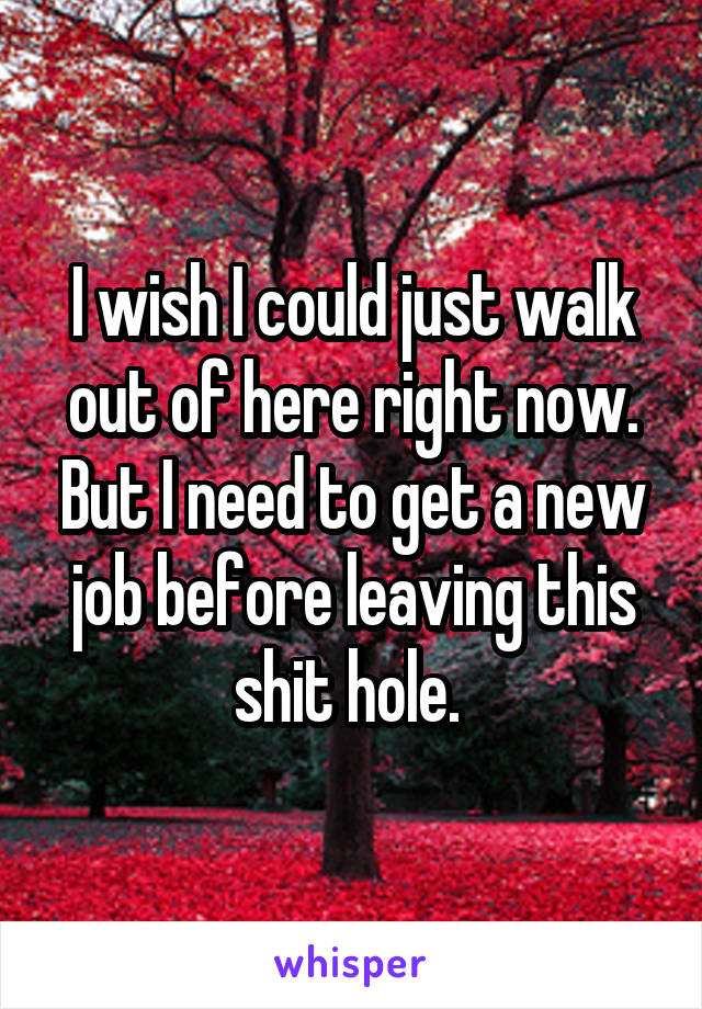 I wish I could just walk out of here right now. But I need to get a new job before leaving this shit hole. 