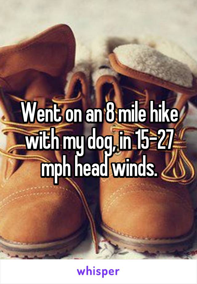 Went on an 8 mile hike with my dog, in 15-27 mph head winds.