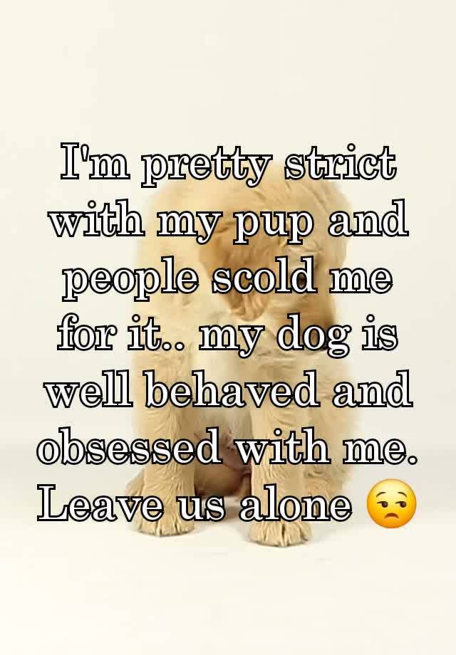 I'm pretty strict with my pup and people scold me for it.. my dog is well behaved and obsessed with me. Leave us alone 😒