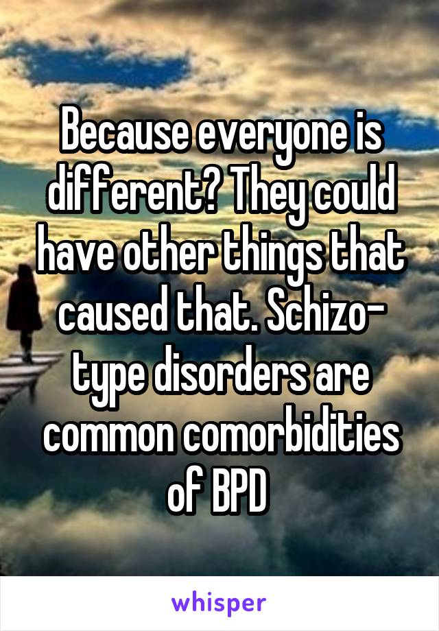 Because everyone is different? They could have other things that caused that. Schizo- type disorders are common comorbidities of BPD 