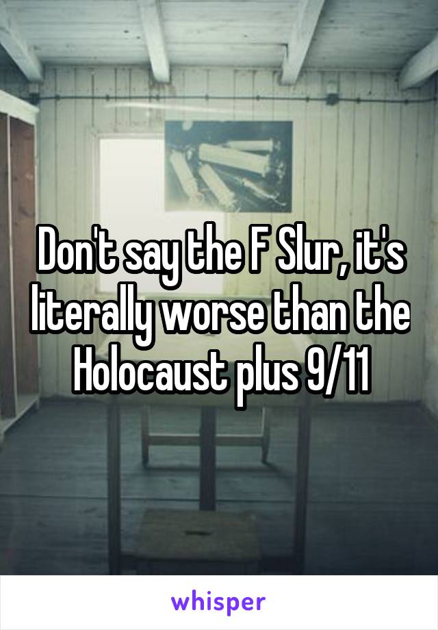 Don't say the F Slur, it's literally worse than the Holocaust plus 9/11