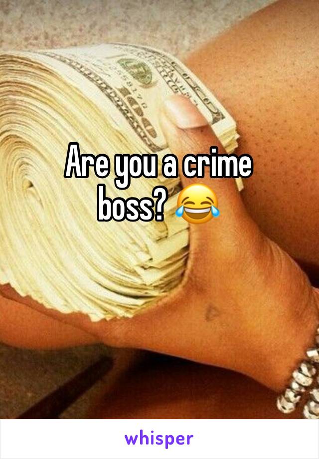 Are you a crime 
boss? 😂 