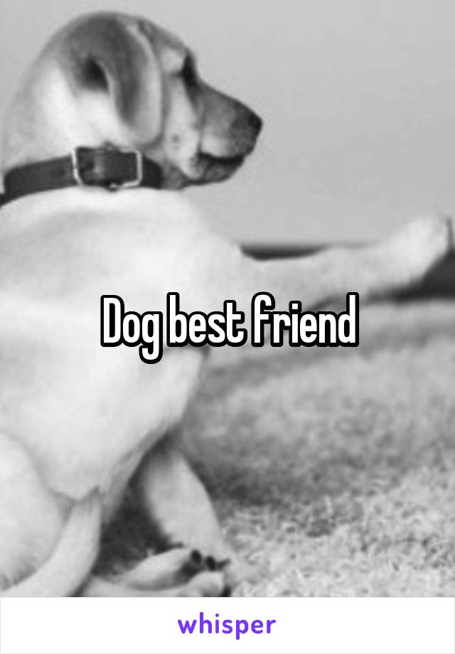 Dog best friend