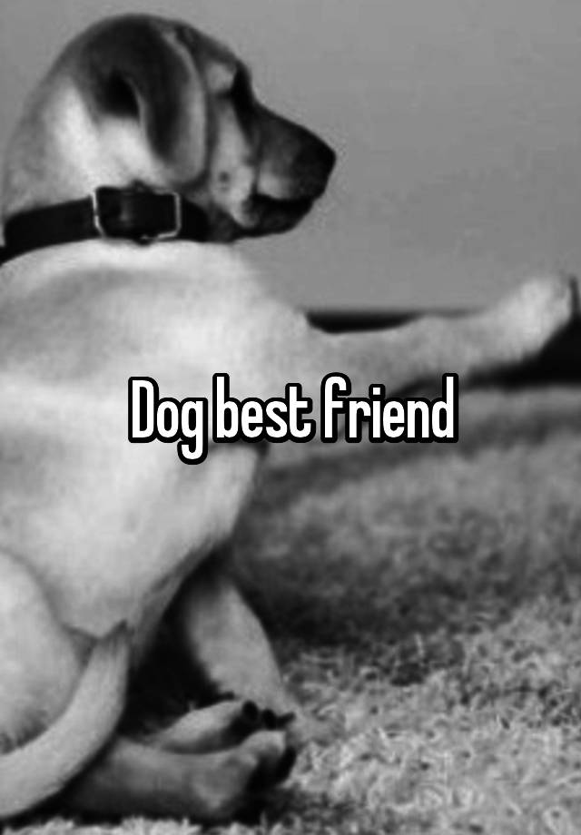 Dog best friend