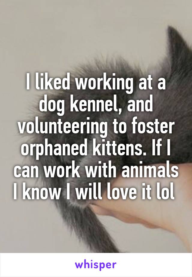 I liked working at a dog kennel, and volunteering to foster orphaned kittens. If I can work with animals I know I will love it lol 