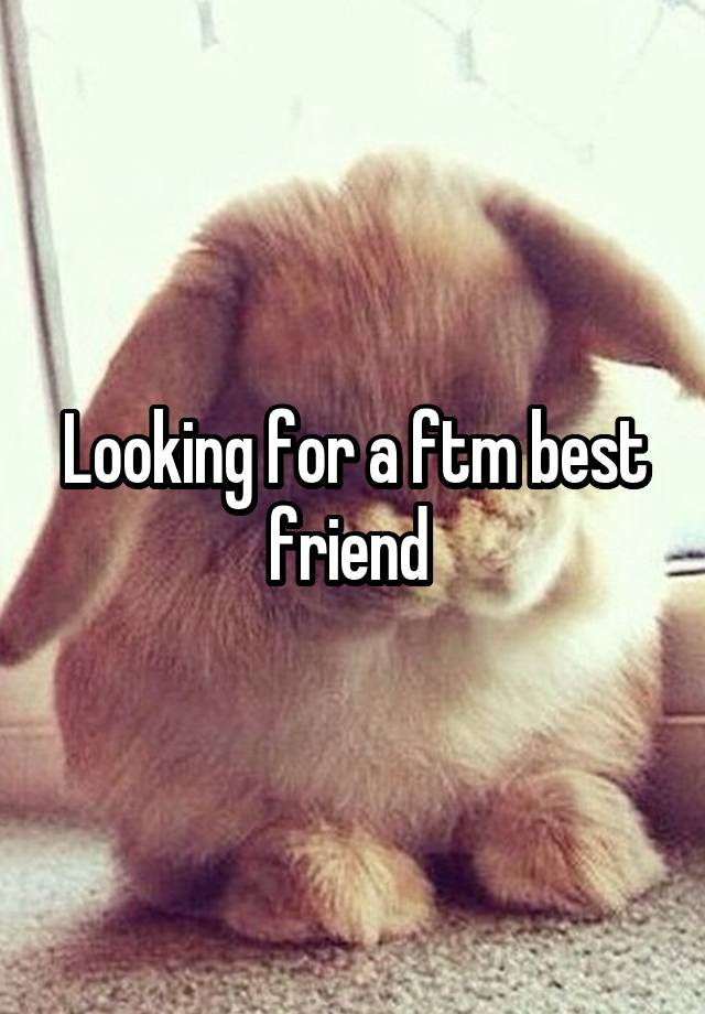 Looking for a ftm best friend 