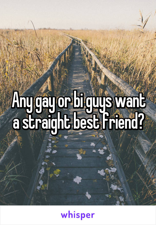 Any gay or bi guys want a straight best friend?