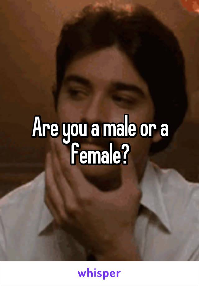 Are you a male or a female?