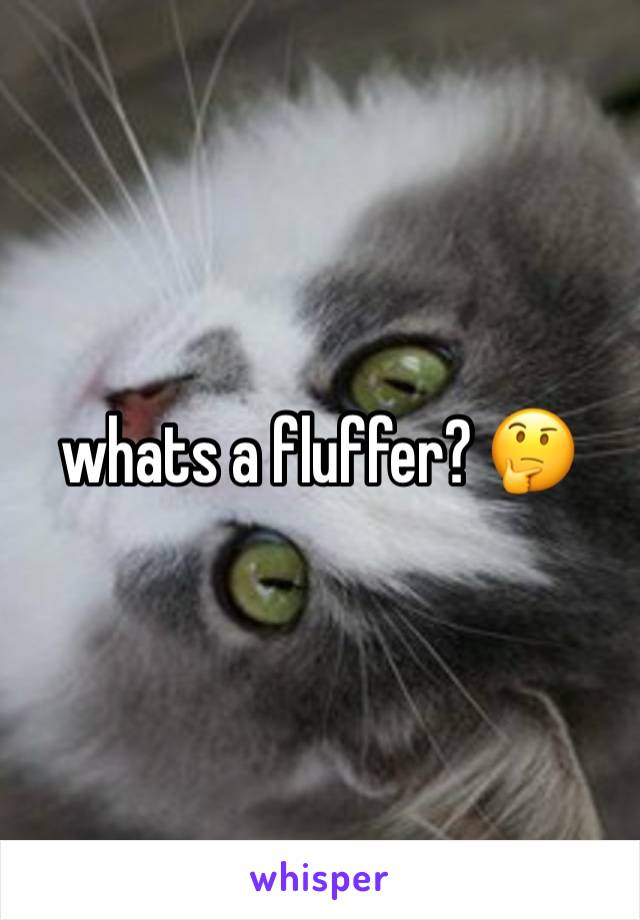 whats a fluffer? 🤔 