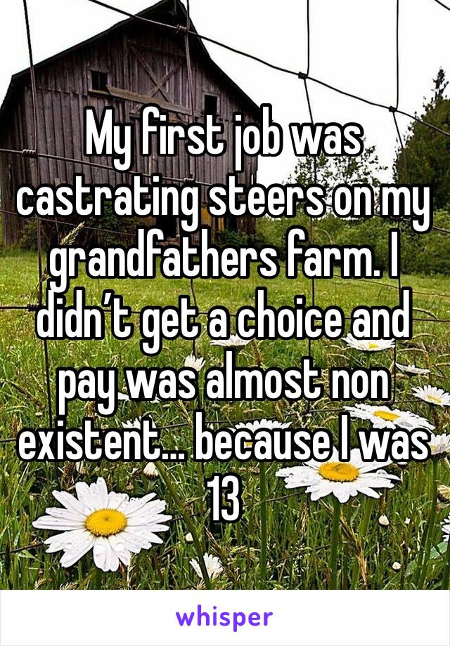 My first job was castrating steers on my grandfathers farm. I didn’t get a choice and pay was almost non existent… because I was 13 