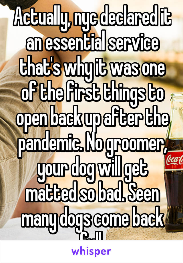 Actually, nyc declared it an essential service that's why it was one of the first things to open back up after the pandemic. No groomer, your dog will get matted so bad. Seen many dogs come back full 