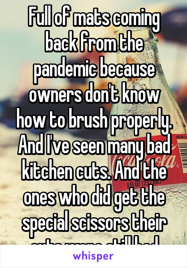 Full of mats coming back from the pandemic because owners don't know how to brush properly. And I've seen many bad kitchen cuts. And the ones who did get the special scissors their cuts were still bad