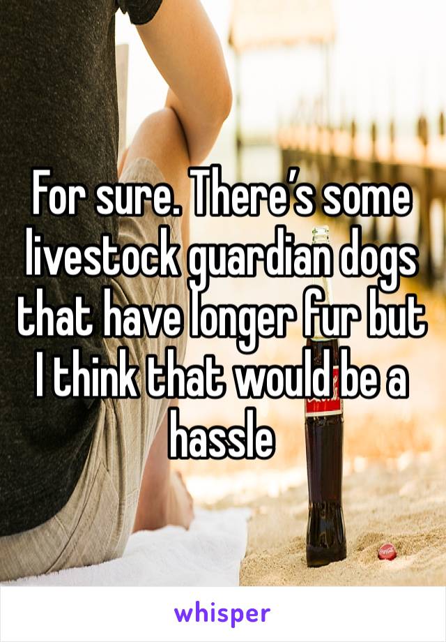 For sure. There’s some livestock guardian dogs that have longer fur but I think that would be a hassle 