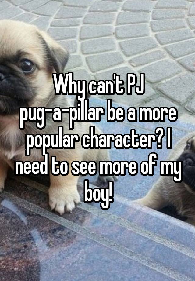 Why can't PJ pug-a-pillar be a more popular character? I need to see more of my boy!