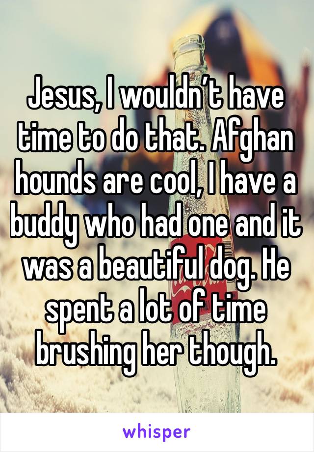 Jesus, I wouldn’t have time to do that. Afghan hounds are cool, I have a buddy who had one and it was a beautiful dog. He spent a lot of time brushing her though. 