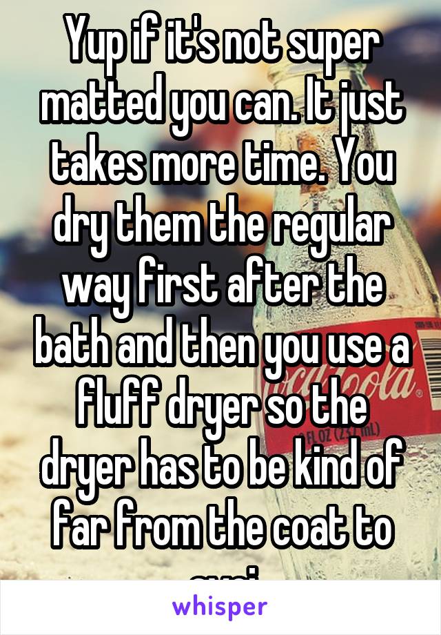 Yup if it's not super matted you can. It just takes more time. You dry them the regular way first after the bath and then you use a fluff dryer so the dryer has to be kind of far from the coat to avoi