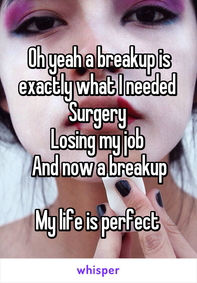 Oh yeah a breakup is exactly what I needed 
Surgery 
Losing my job 
And now a breakup

My life is perfect 